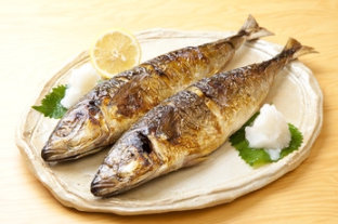 アイリスオーヤマIH炊飯器のIHコンロはIH対応のロースターで魚を焼いて食べる